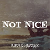 Not Nice (Explicit) - Busy&Naastaxx