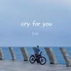 cry for you - 李OK