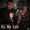 It's My Life(feat. Remy Muzik) - Remy Muzik&C-LZ Luvellz