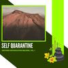 Soul And Serenity (Original Mix) - Nathu SenGupta