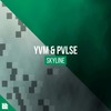 Skyline - YVM&PVLSE&Revealed Recordings