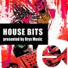 Brasilian Love (Original Mix) - Dark Society