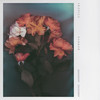 Harbor - Tropics&Christopher Ward