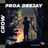 Crow (Original Mix) - Proa Deejay