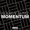 Momentum (Original Mix) - Hook N Sling