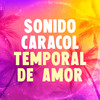 Temporal de Amor - Sonido Caracol&Chacho Ramos&Cecilio Nena