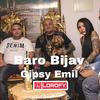 Gipsy Emil Baro Bijav - LIL SAM BYO