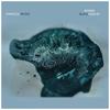 Black Hole (Maksim Dark Remix) - Rosper