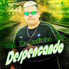 Despencando - Dj Maicon Mpc&Mc Madimbu