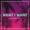 What I Want (Original Mix) - Lisa K&Yvette Lindquist