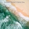 Bay Missions - Zebra Rec.&Endless Waves