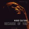 Because Of You (H.A.Z.E Remix) - Nikko Culture&H.A.Z.E