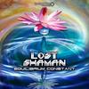 Time Dilation - Lost Shaman