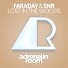 Lost in the Woods - SNR&Faraday