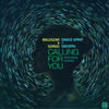 Calling For You (Aidan Lavelle remix) - Balcazar & Sordo&Dance Spirit&disCerN&Shawni Motta&Aidan Lavelle