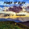 Power of Bliss(feat. Pretty Bye Bye & Preston Dill) - D.R.U.&Pretty Bye Bye&Preston Dill