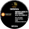 Gemini - Norman Andretti aka Quarill