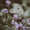 Sleep In the Nature - Mahogany