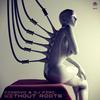Without Roots (Relaunch Remix) - Airwave&Airwave and DJ Fire&DJ Fire&Relaunch