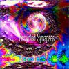 Speeding Cats - Chill&Reading and Studying Music&Spectral Sevenths