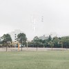 年年 - 徐秉龙