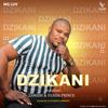 Dzikani (feat. Zamani & Venda Prince) - MG Luv&Zamani&Venda Prince