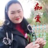痴爱 - 一生何求m