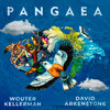 A New World - Wouter Kellerman&David Arkenstone