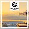Sleeping Ocean (Original Mix) - Foxt