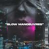 SLOW MANOEUVRES - NiTTA