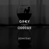 Someday (feat. Oddisee) (Explicit) - GR€Y&Oddisee