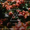 Ladies Night (Original Mix) - Steve Tosi