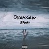 Overview (feat. Ookay & OTR) - Lil Peaky&Ookay&OTR