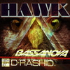 Hawk (Club Mix) - D-Rashid&Bassanova