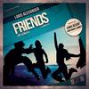 Friends (Chris Decent Remix) - Laris Alexander