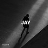 Jay - Brown 98&Ysos