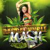 Mash. Ragga Jungle - DJ ALEXEY KAPITONOWWW