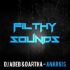 Anarkis (Original Mix) - DJ Abeb&Dartha