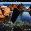 Flaming June (Ashley Wallbridge Remix) - BT