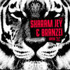 Riffer (Original Mix) - Sharam Jey&Branzei