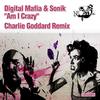 Am I Crazy (Charlie Goddard Remix) - Digital Mafia&Sonik