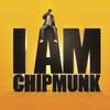 Sometimes - Chipmunk