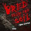 Where da money at (feat. Bruc3 & Annie Wit Da Juice) (Explicit) - B1G T1PSY&Bruc3&Annie wit da Juice