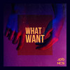 What I Want - Jpb