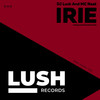 Irie (Marrz Mix) - DJ Luck & MC Neat&MARRZ