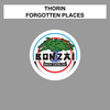 Forgotten Places (SynnyS 'Evolving Humans' Remix) - Thorin