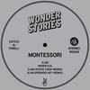 Ilum (Steve Cook Remix) - Montessori