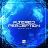 Immersed (Original Mix) - Altered Perception