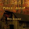 Dry Leaves (Explicit) - Criss Antof