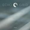 Through Fog - Echo Grid